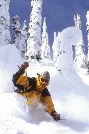 photo by Jeff Scholl/Gravity Shots.com Telemarker skier Jardy Kyner
